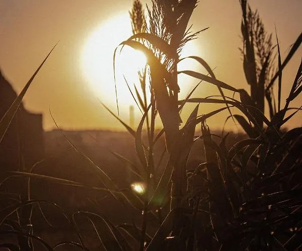 Yourquadrarooms Bed & Breakfast Řím